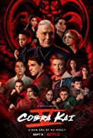 Cobra Kai Season 5 Complete (2022) Hindi Dubbed