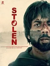 Stolen (2025) Hindi